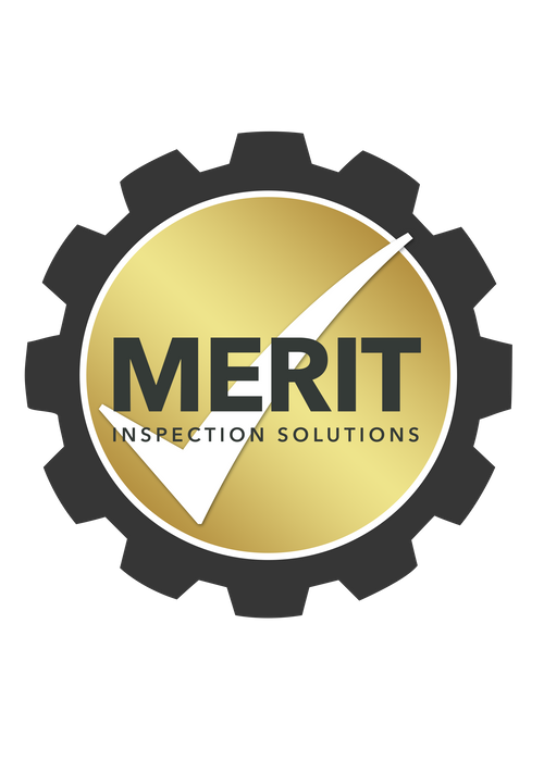 MERIT INSPECTION SOLUTIONS LTD